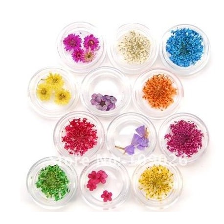 Kit de 12 Flores Secas 