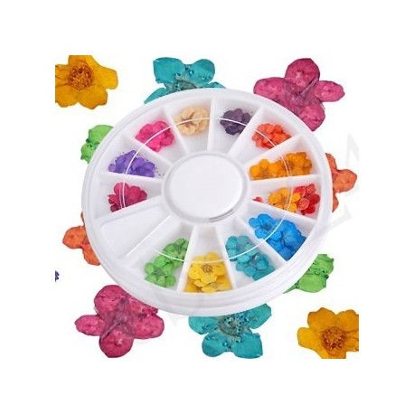 Rueda Decorativa de Flores Secas